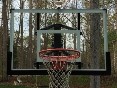 A DIY basketball hoop in the forest