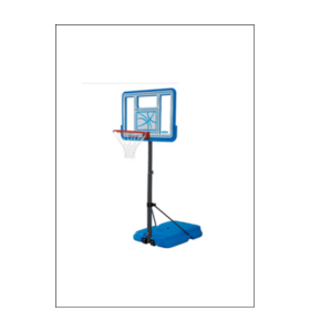 Lifetime Swimming Pool Side Basketball Goal